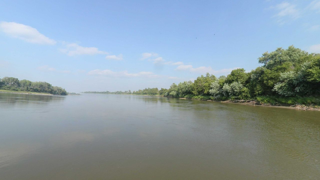 The Missouri River beside a leafy wooded bank on the right, 2023