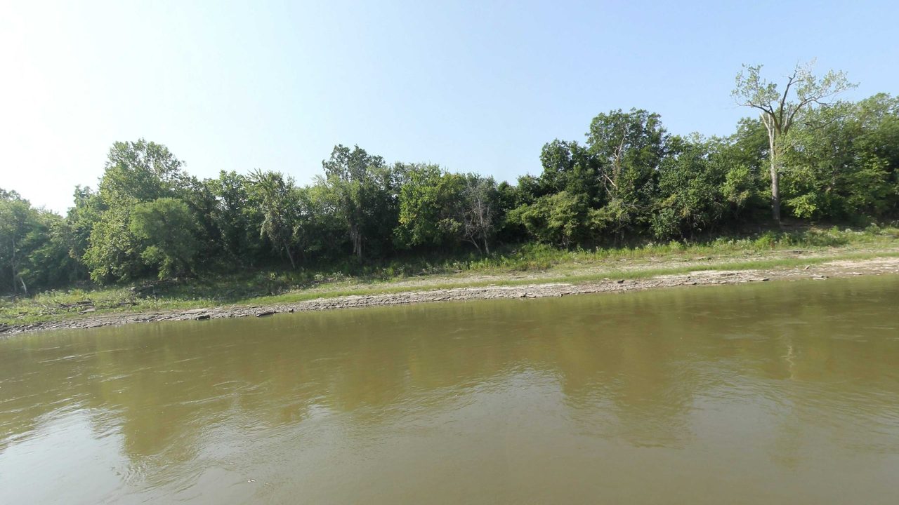 The Missouri River below a leafy wooded bank with a rocky shore and a log in the shallows, 2023