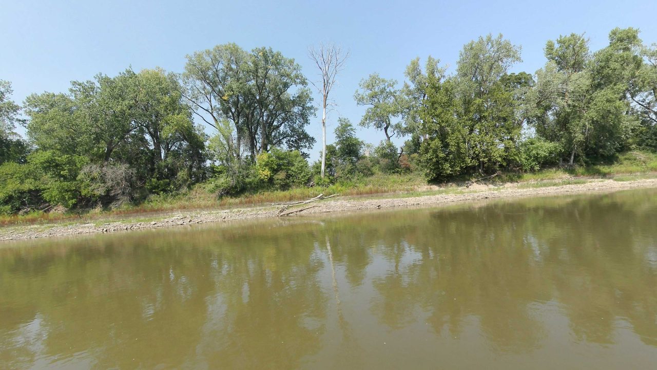 The calm Missouri River reflecting a wooded bank with a tall pale snag and a stony shore, 2023
