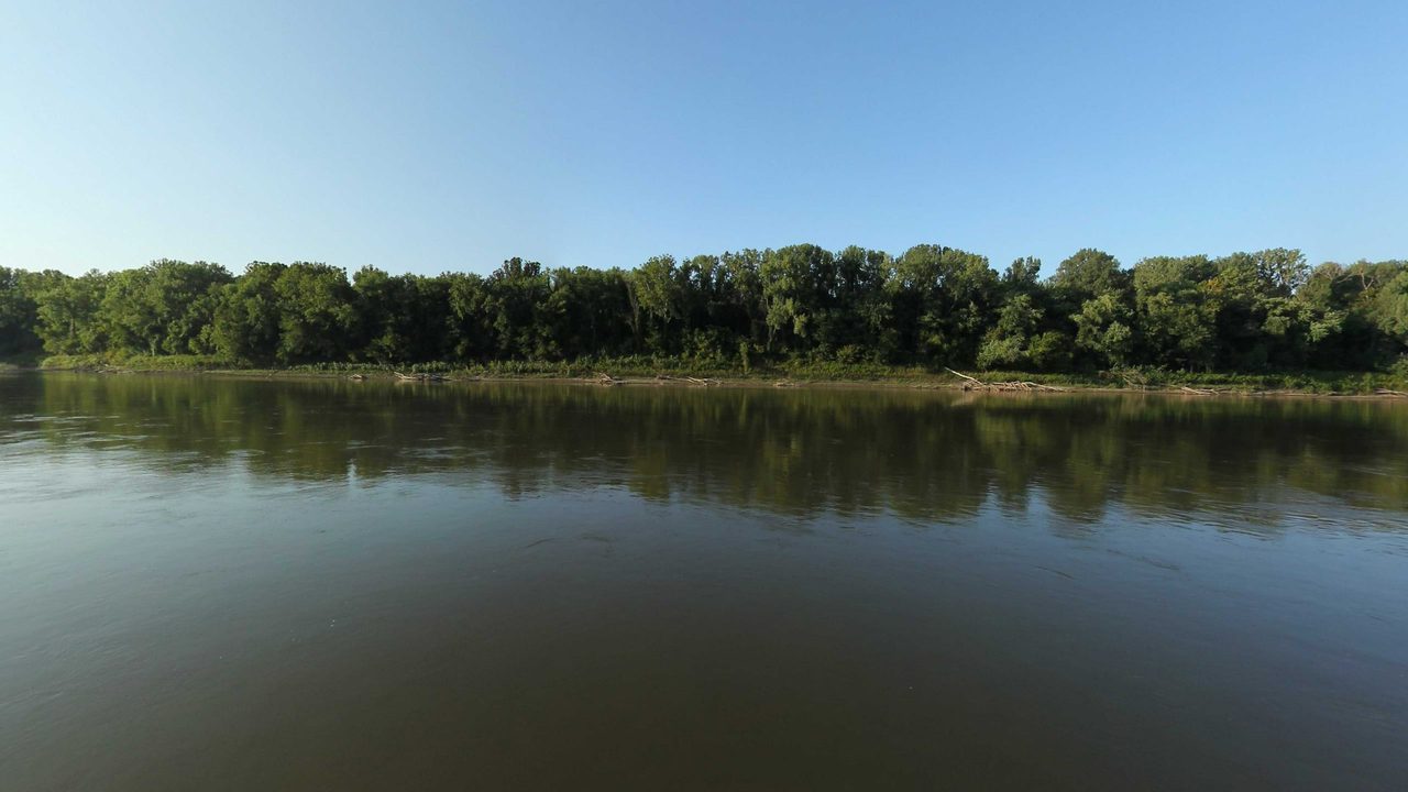 The calm Missouri River mirroring a long wooded bank with driftwood along the shore, 2023