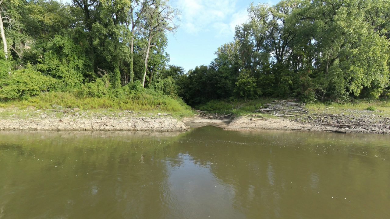 A gravel shore piled with driftwood below a green, wooded bank of the Missouri River, 2023