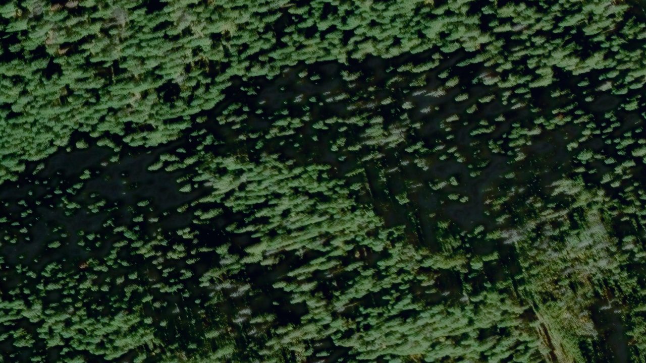Satellite view of the area around this place