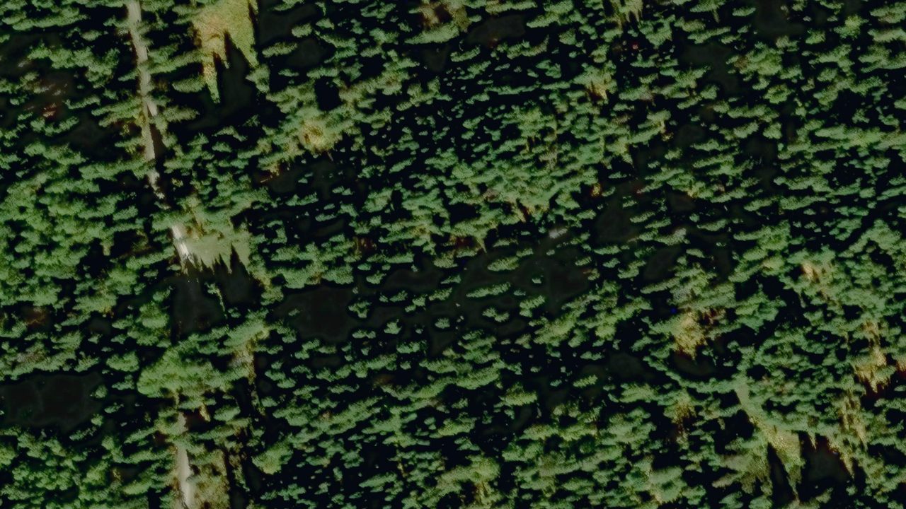 Satellite view of the area around this place