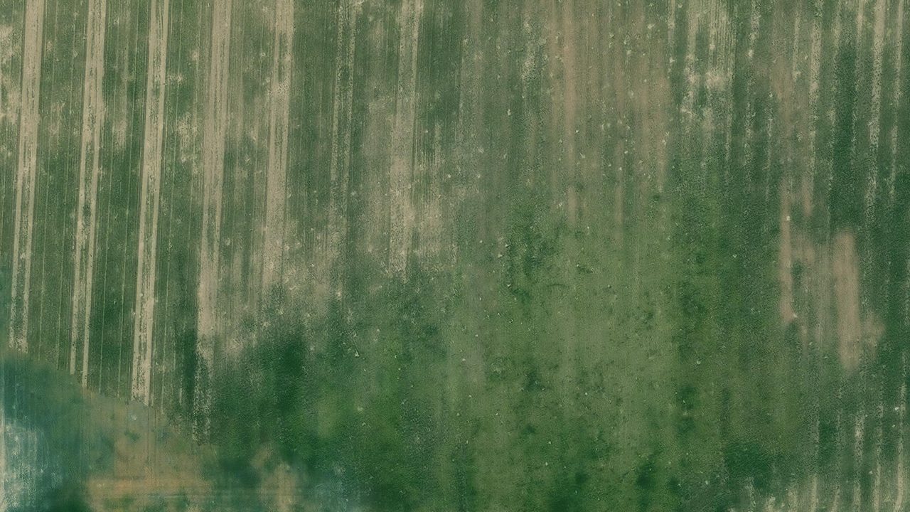 Satellite view of the area around this place