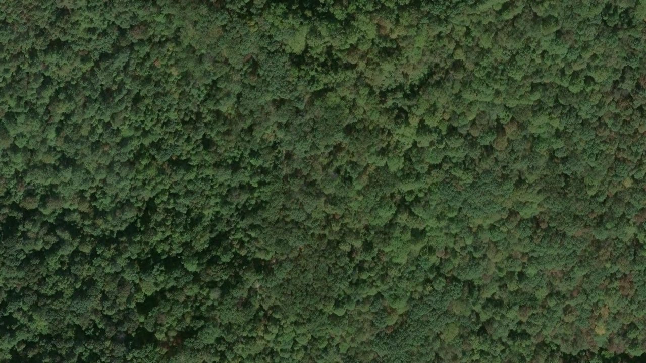 Satellite view of the area around this place