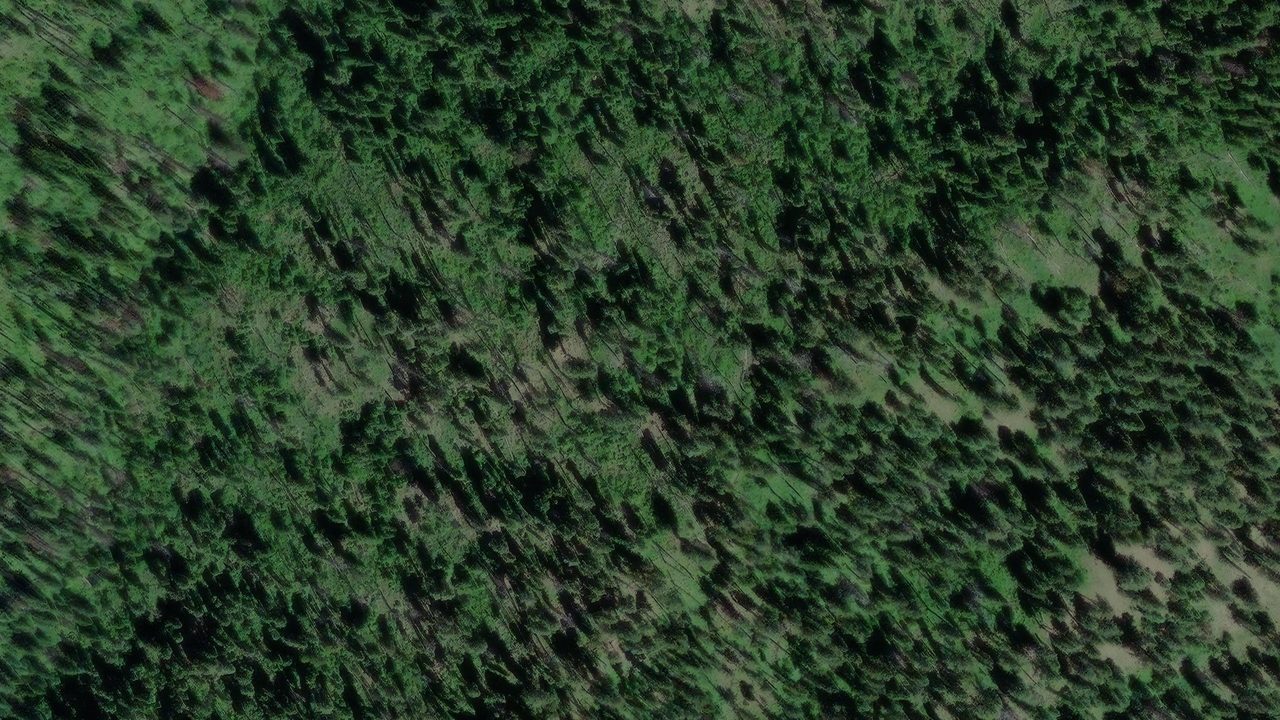 Satellite view of the area around this place