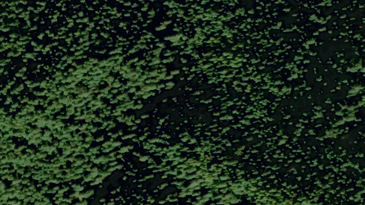 Satellite view of the area around this place