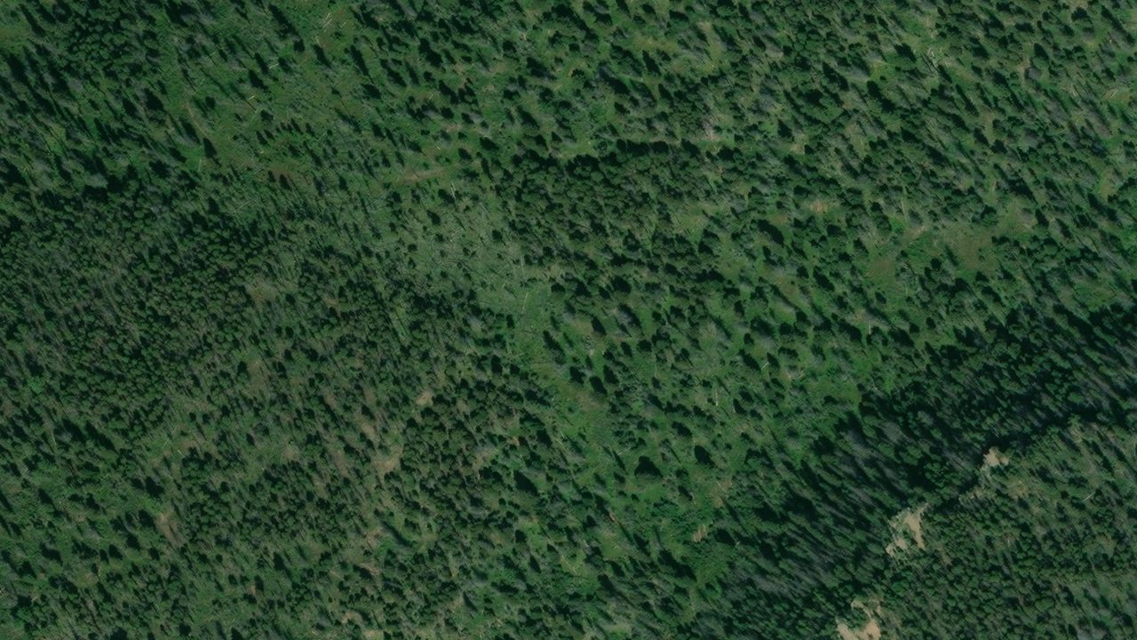 Satellite view of the area around this place