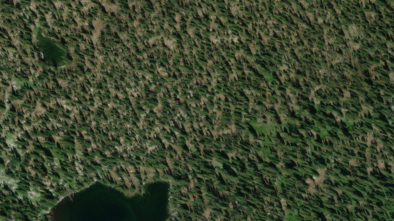 Satellite view of the area around this place
