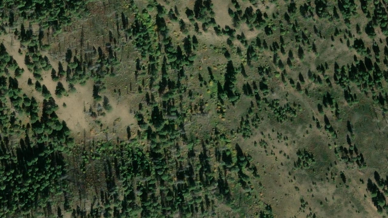 Satellite view of the area around this place