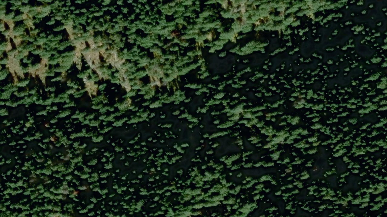 Satellite view of the area around this place