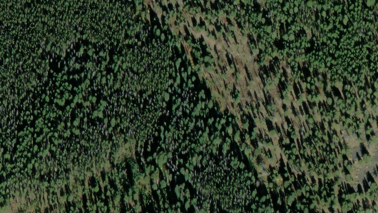 Satellite view of the area around this place