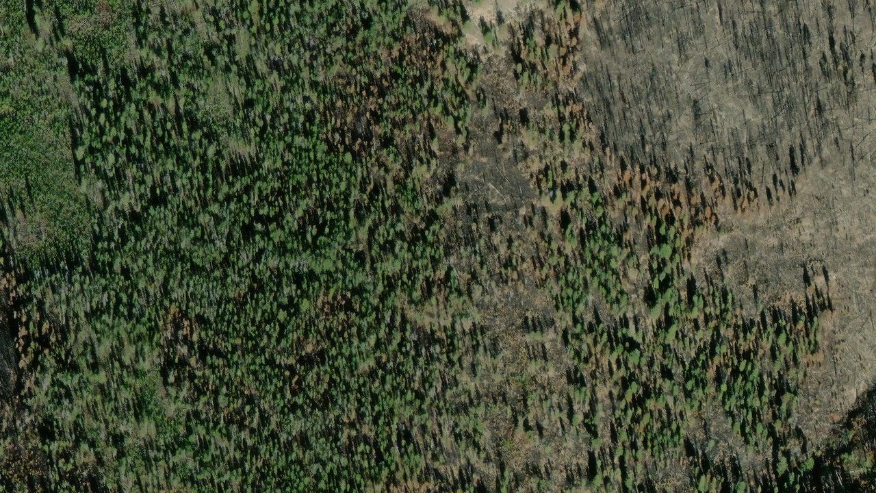 Satellite view of the area around this place